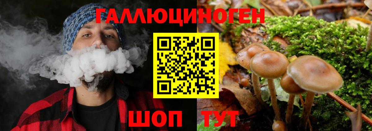Нижнеудинск  Галлюциногенные грибы MAGIC MUSHROOMS  Вход с VPN 